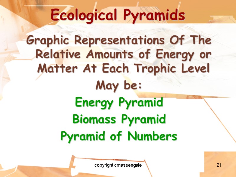 21 Ecological Pyramids Graphic Representations Of The Relative Amounts of Energy or Matter At